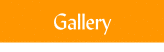 Picture Gallery